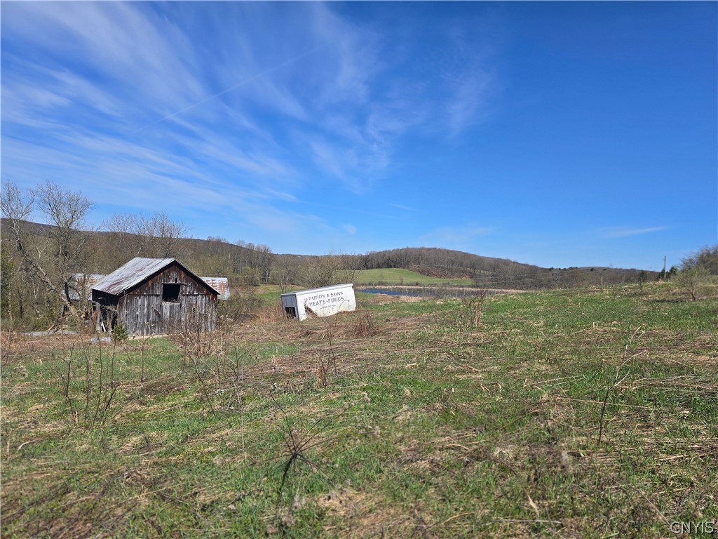 154 Bliven Road Bridgewater, NY 13480 - Photo 10 of 10