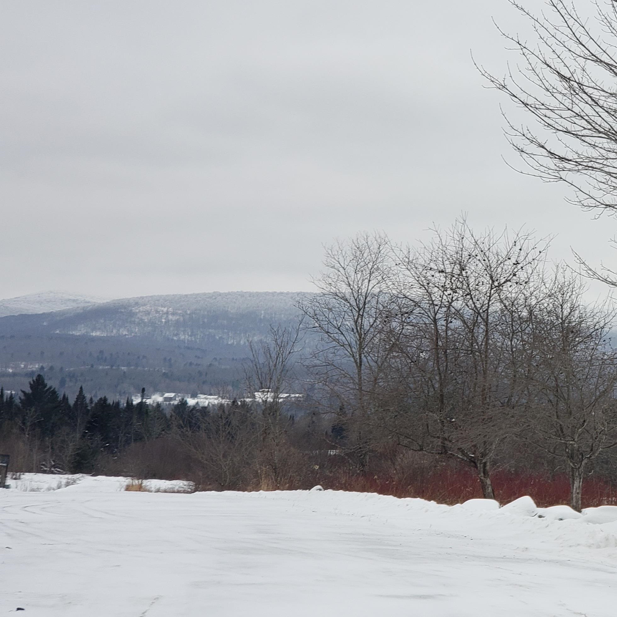 211 Old Deuso Road Eden, VT 05652 - Photo 1 of 14
