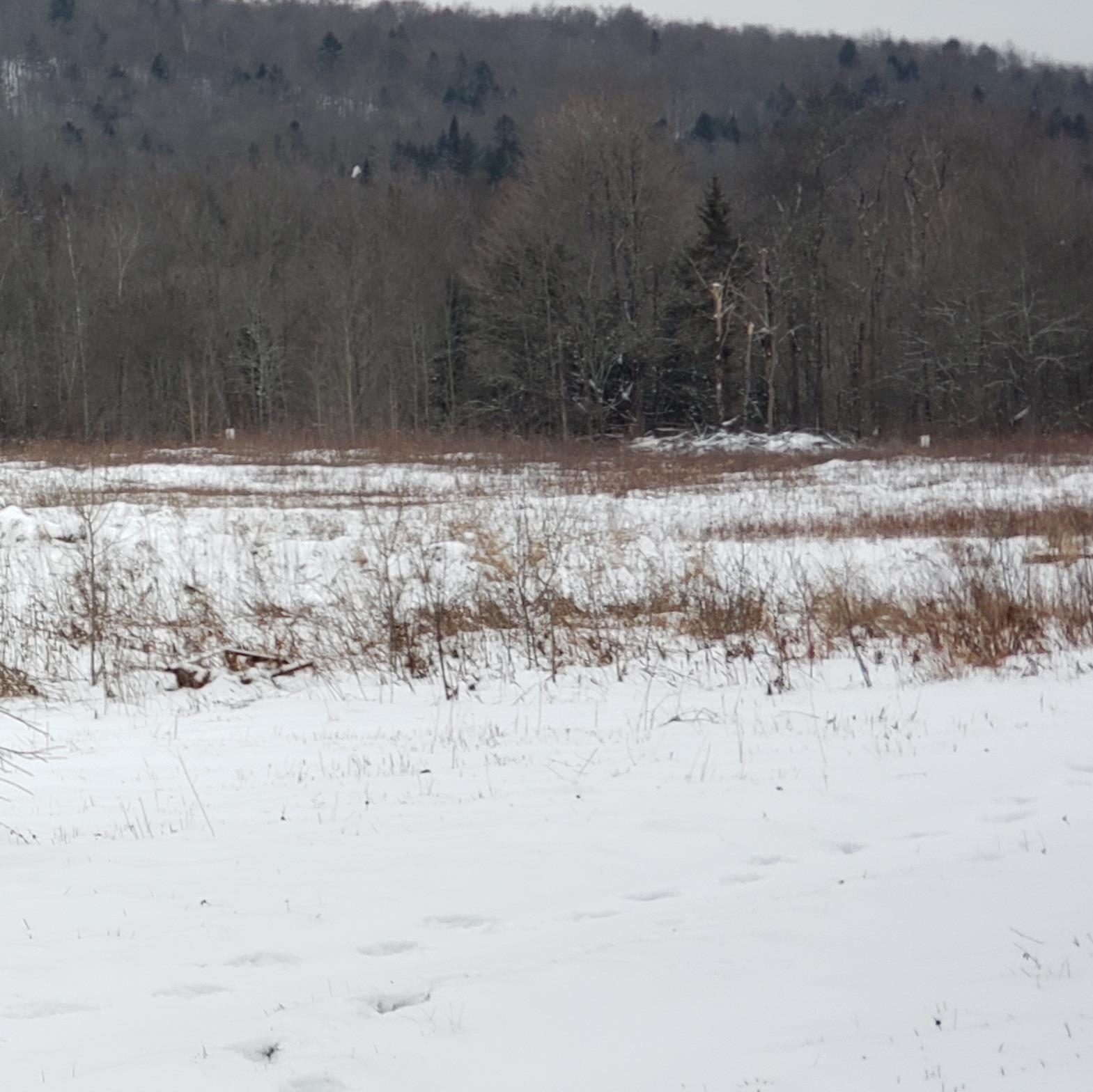 211 Old Deuso Road Eden, VT 05652 - Photo 2 of 14