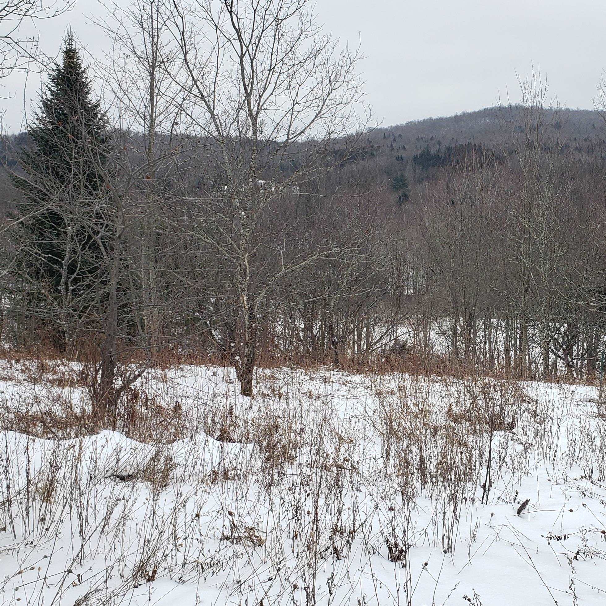211 Old Deuso Road Eden, VT 05652 - Photo 11 of 14