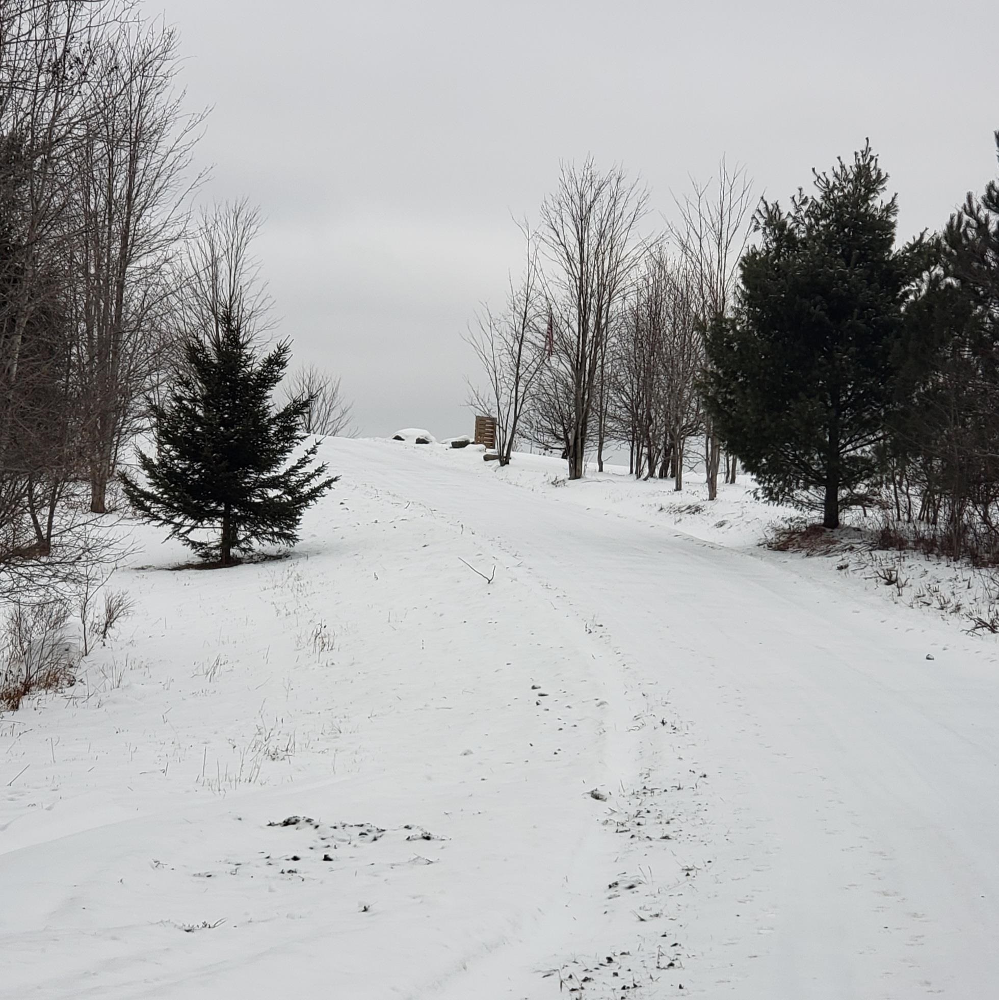 211 Old Deuso Road Eden, VT 05652 - Photo 6 of 14