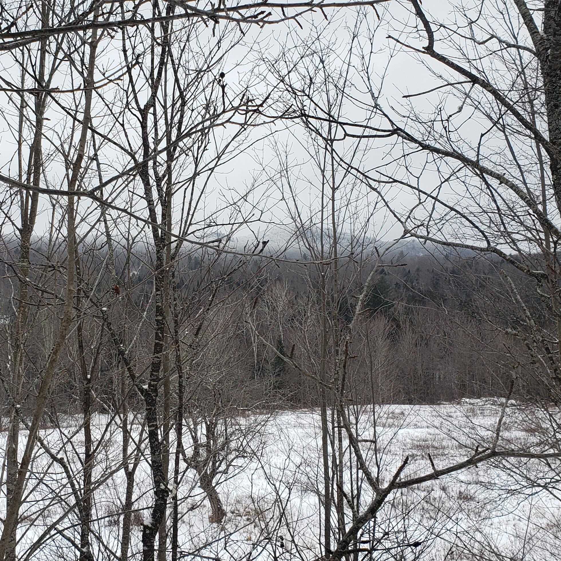 211 Old Deuso Road Eden, VT 05652 - Photo 8 of 14