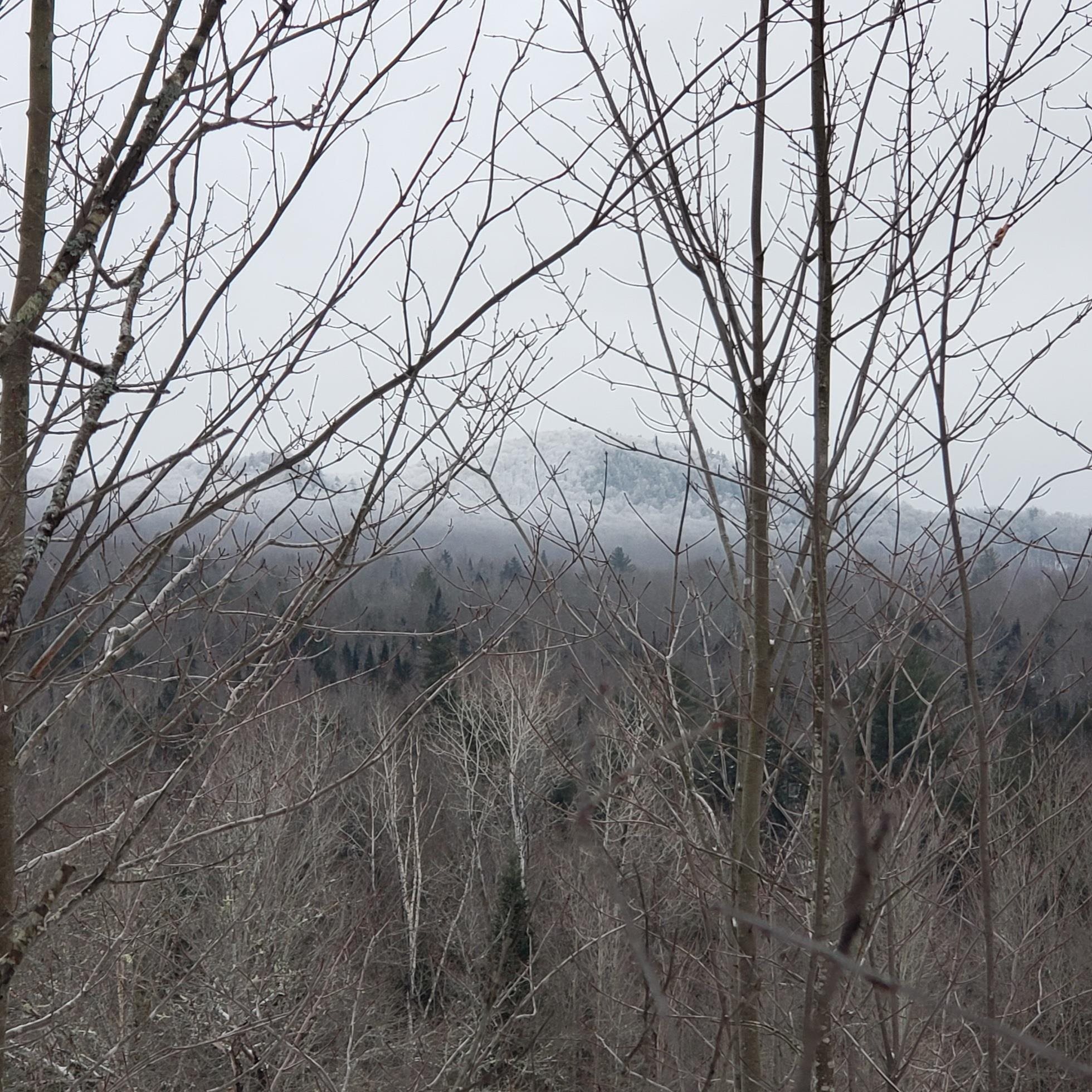 211 Old Deuso Road Eden, VT 05652 - Photo 9 of 14