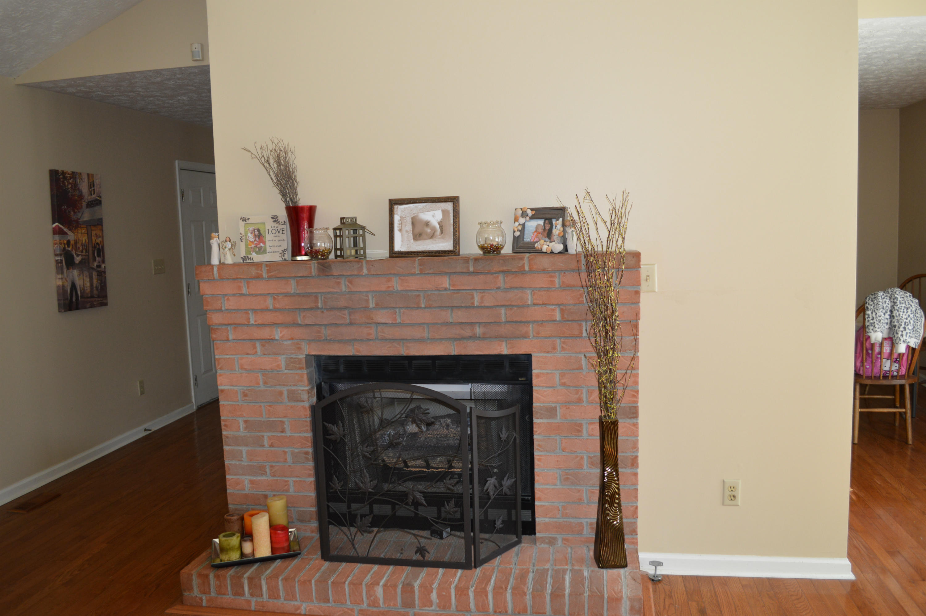 247 Big Bend Road Strawberry Plains, TN 37871 - Photo 5 of 10 Fire Place