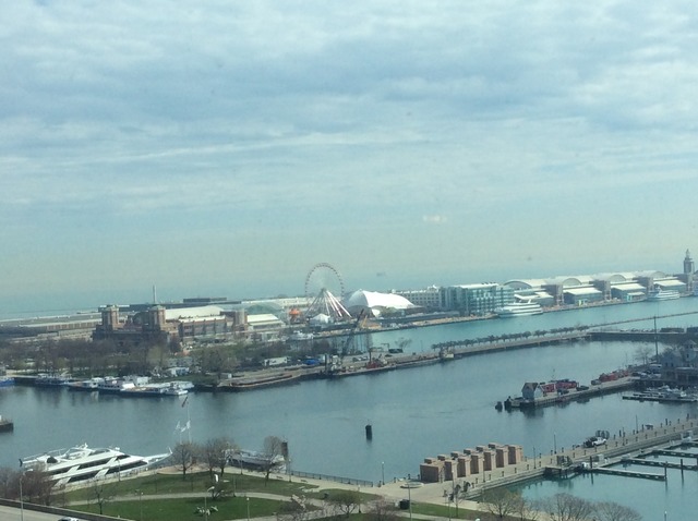 195 North Harbor Drive, Unit 908 Chicago, IL 60601 - Photo 3 of 7