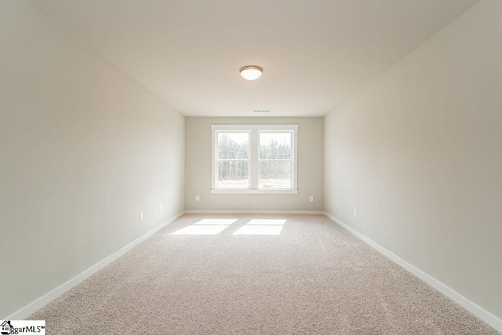 371 Alyssa Lndg Drive Fountain Inn, SC 29644 - Photo 18 of 30
