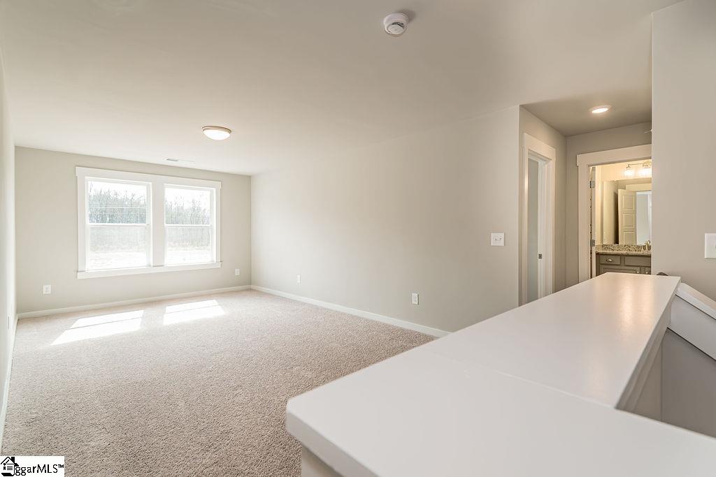371 Alyssa Lndg Drive Fountain Inn, SC 29644 - Photo 19 of 30