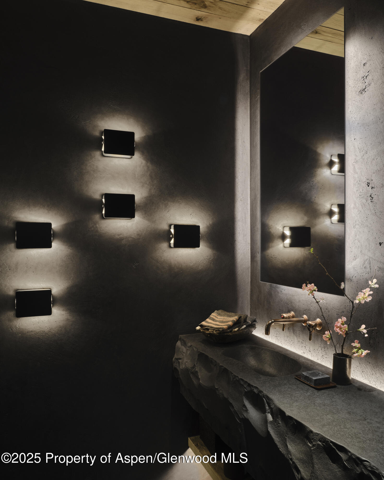 724 North Hayden Road Aspen, CO 81611 - Photo 23 of 49 Powder