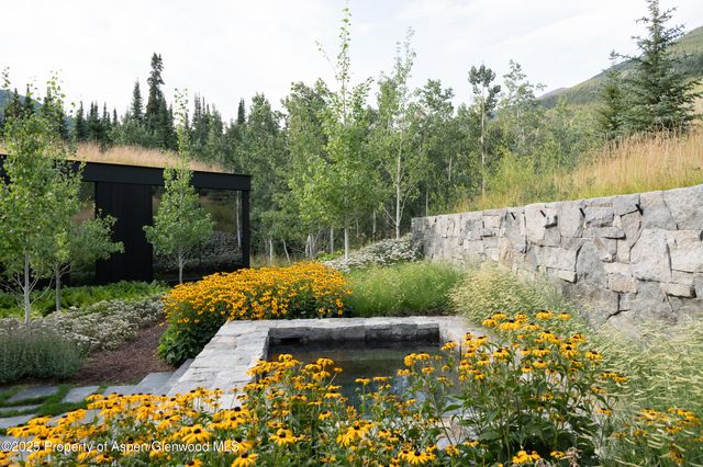 a view of a garden with plants and a bench