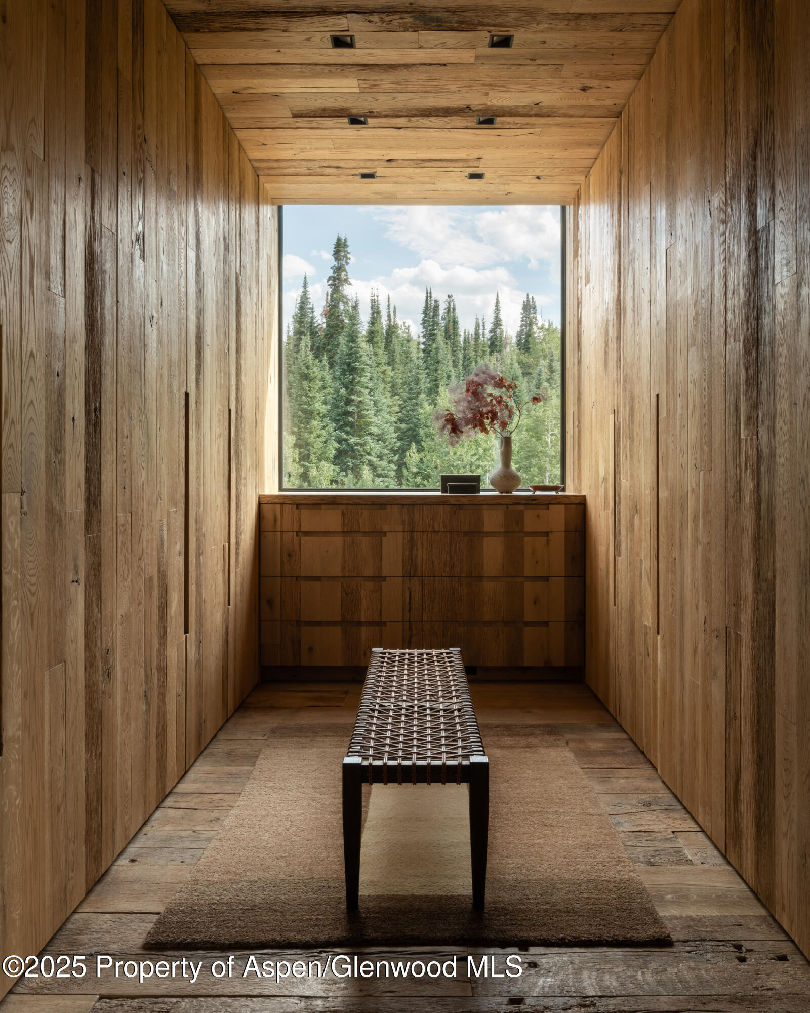 724 North Hayden Road Aspen, CO 81611 - Photo 29 of 35 a view of entryway