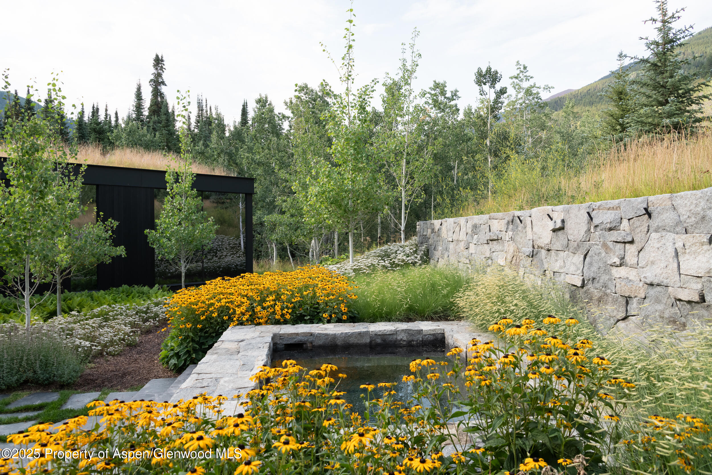 724 North Hayden Road Aspen, CO 81611 - Photo 30 of 49 Spa