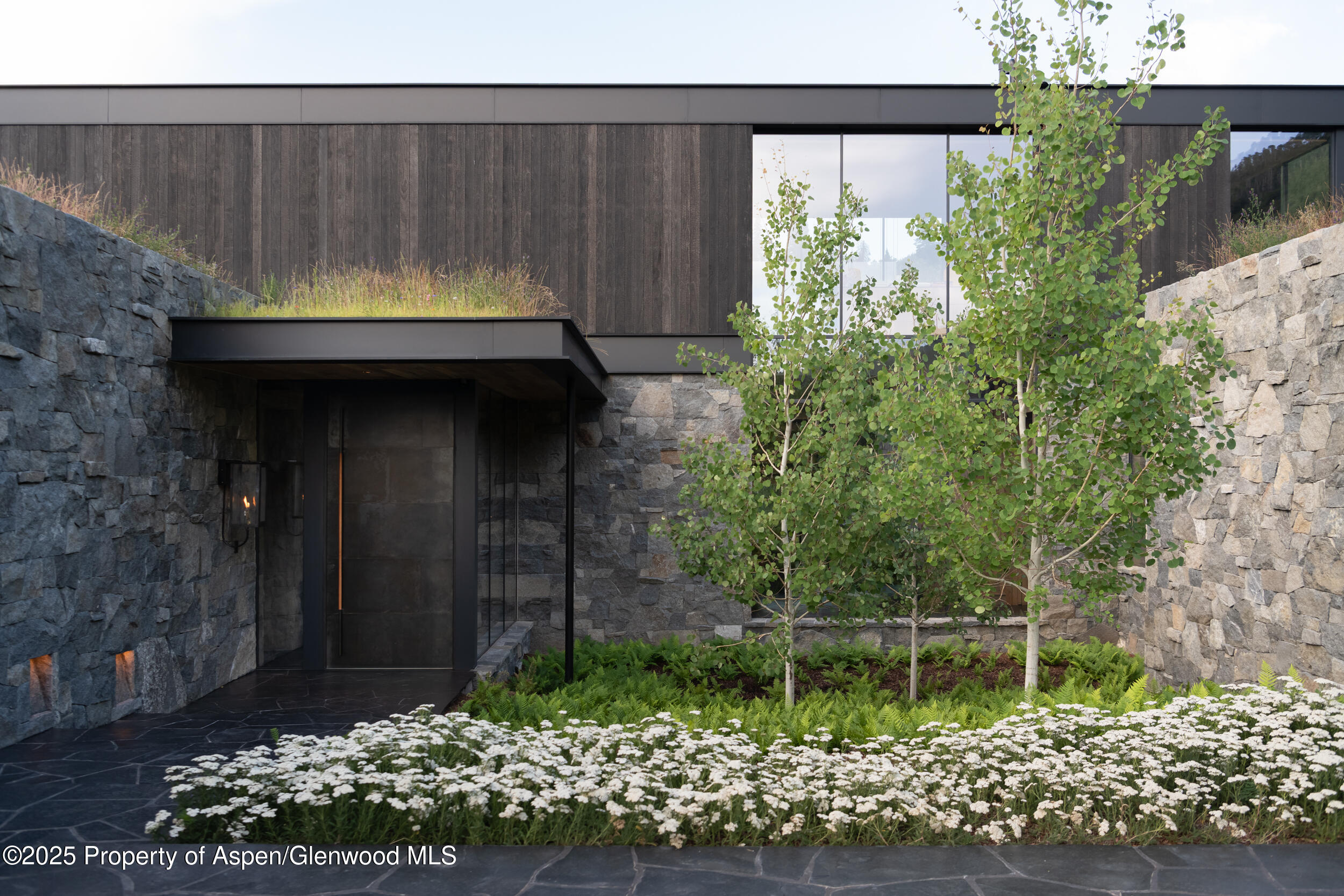 724 North Hayden Road Aspen, CO 81611 - Photo 4 of 49 Entry