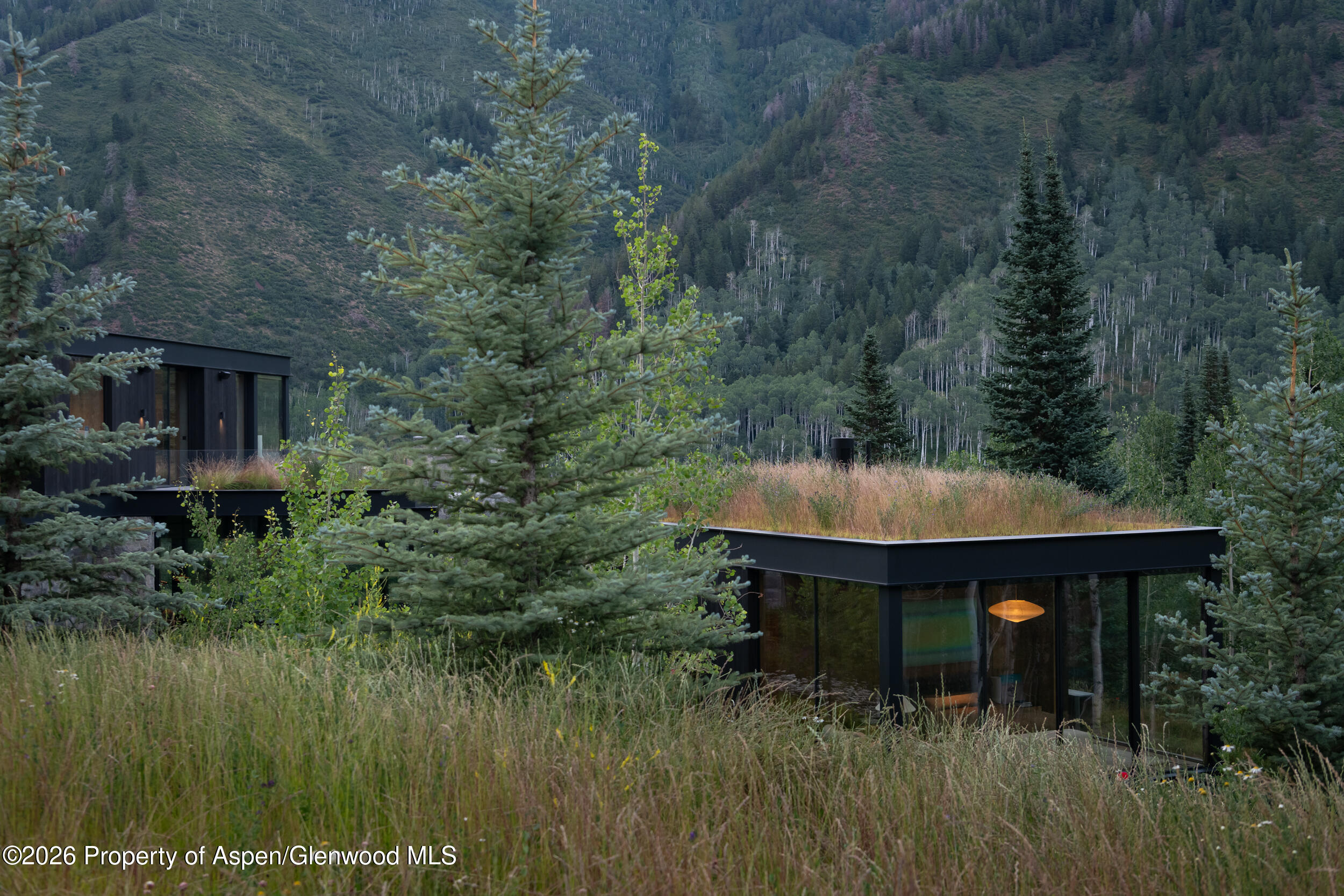 724 North Hayden Road Aspen, CO 81611 - Photo 43 of 49 NorthHayden_Huttenlocher_WebRes_058