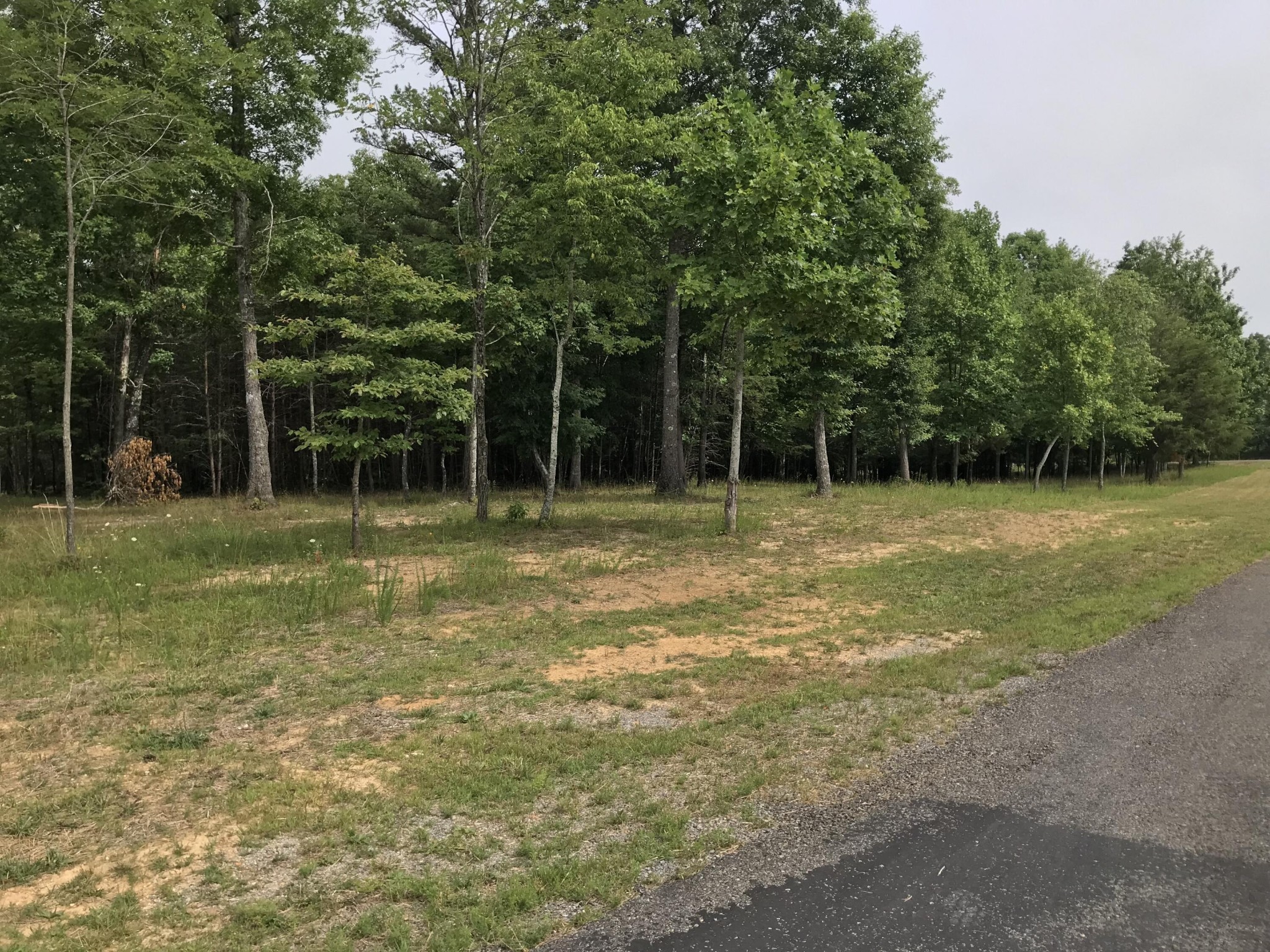 0 Quail Trail Dunlap, TN 37327 - Photo 35 of 36
