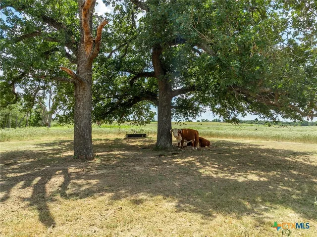$816,340 | 850 County Road 322, Rockdale, TX 76567