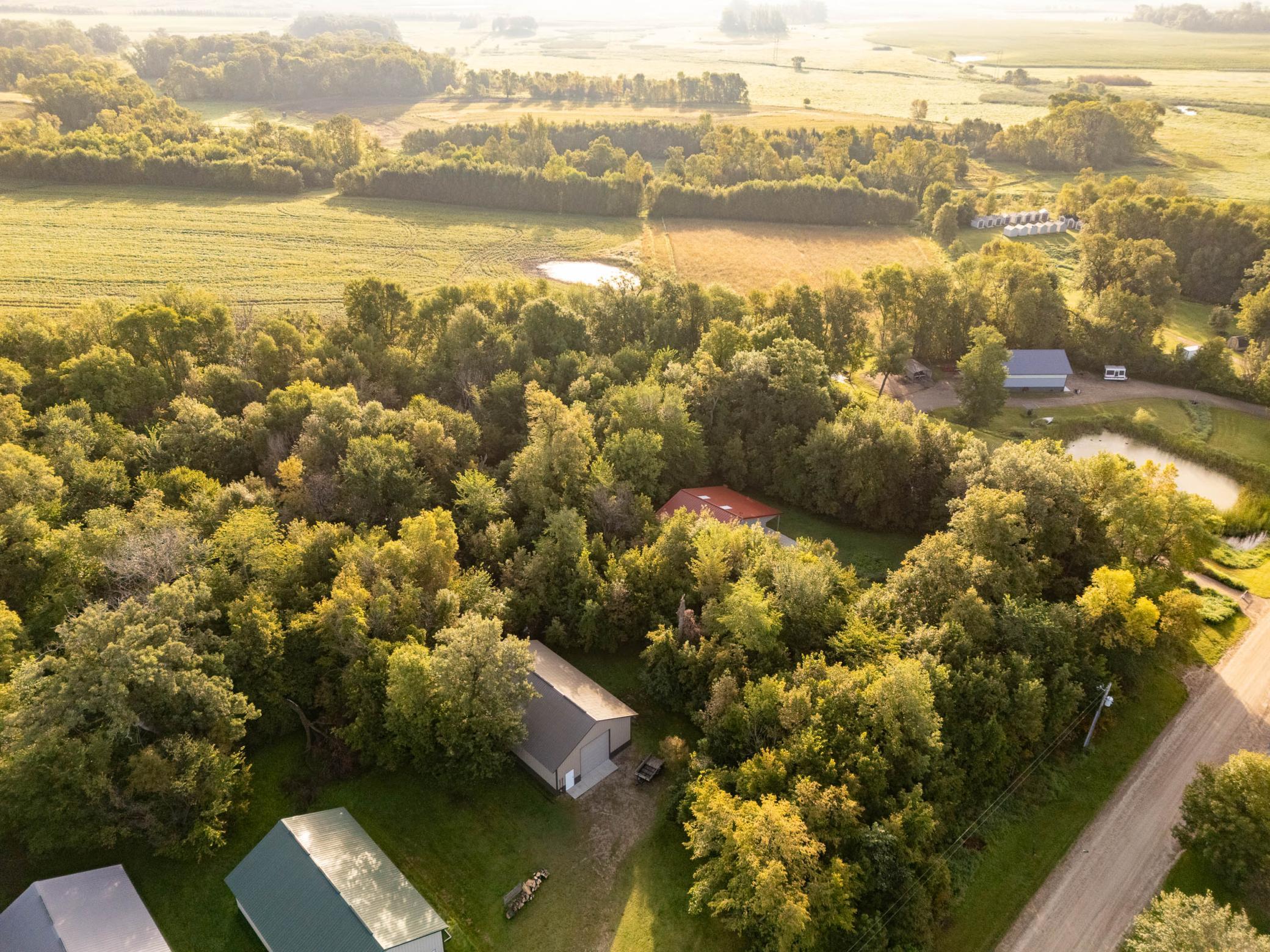 Tbd Smith Lake Road Southeast Osakis, MN 56360 - Photo 5 of 13