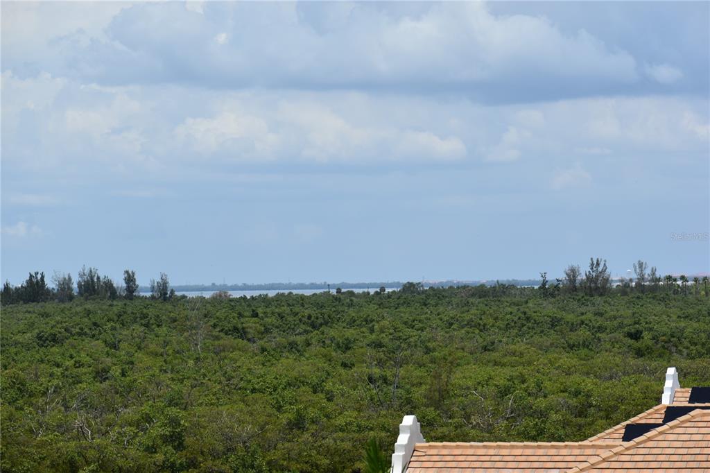 3027 Bermuda Sloop Circle Ruskin, FL 33570 - Photo 51 of 53