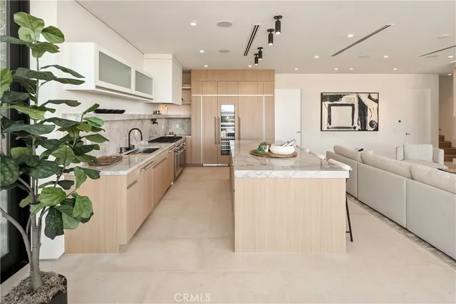 a living room with kitchen island furniture and a potted plant