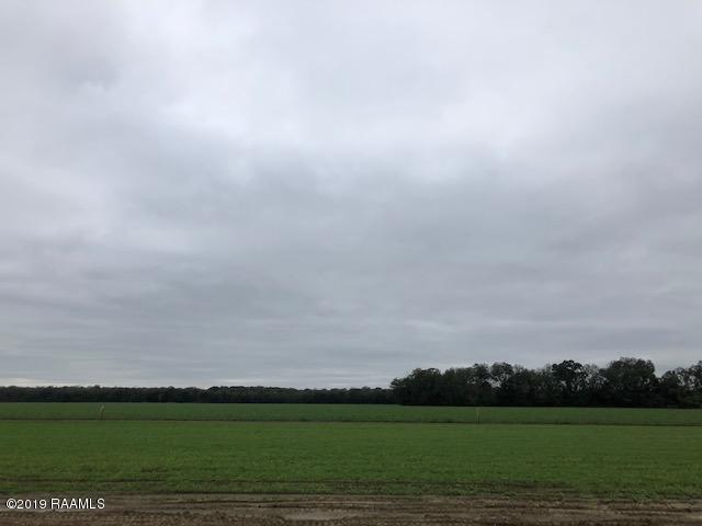 Lot 38 Tom Schexnayder Road Opelousas, LA 70570 - Photo 1 of 1 IMG_2444