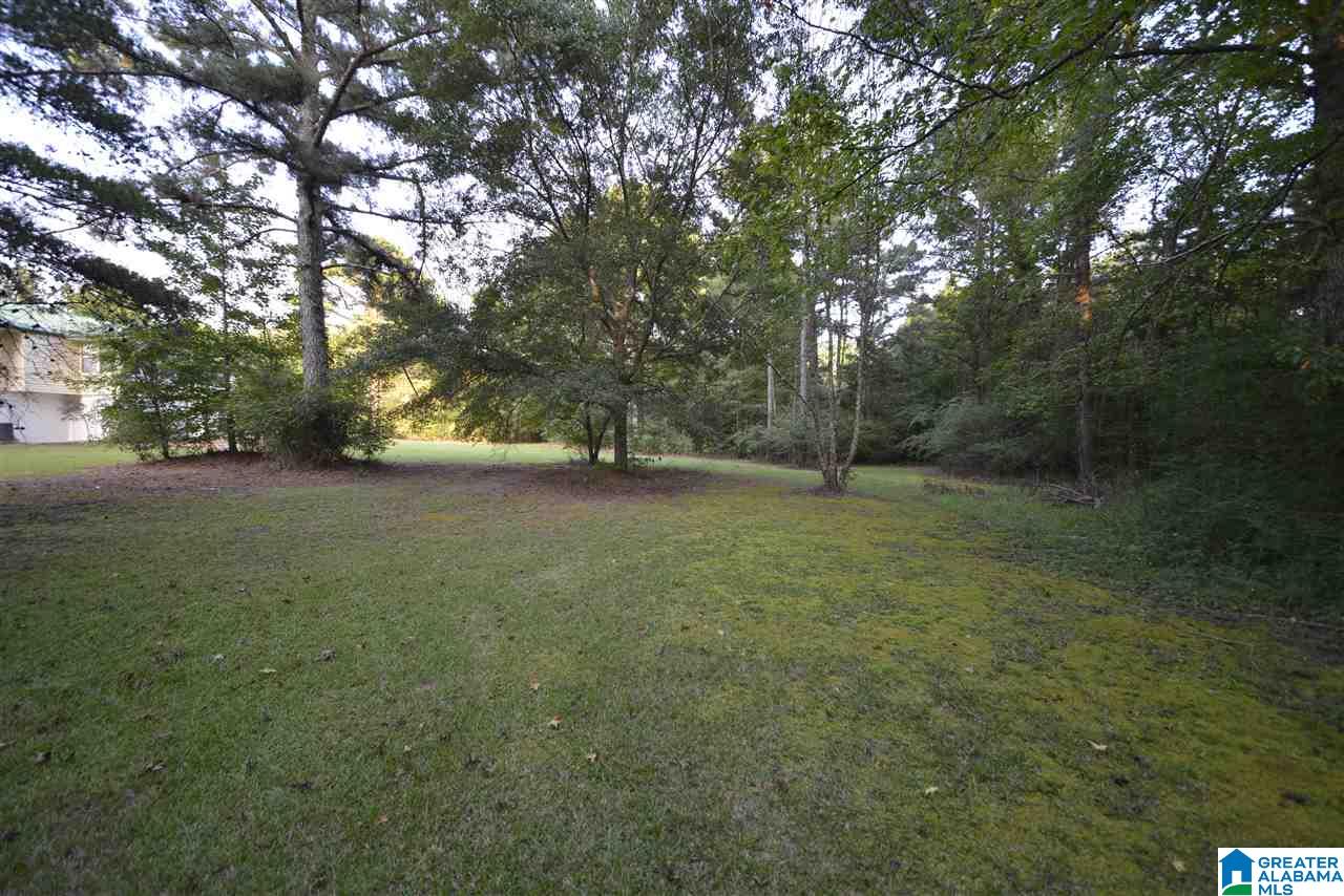 1980 Roy Webb Cutoff Road Piedmont, AL 36272 - Photo 45 of 47