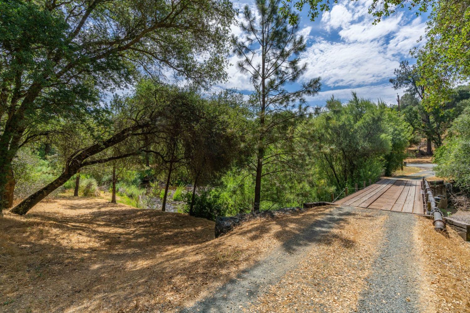 0 Sutter Creek Road Sutter Creek, CA 95685 - Photo 3 of 23 a view of a yard with plants and trees