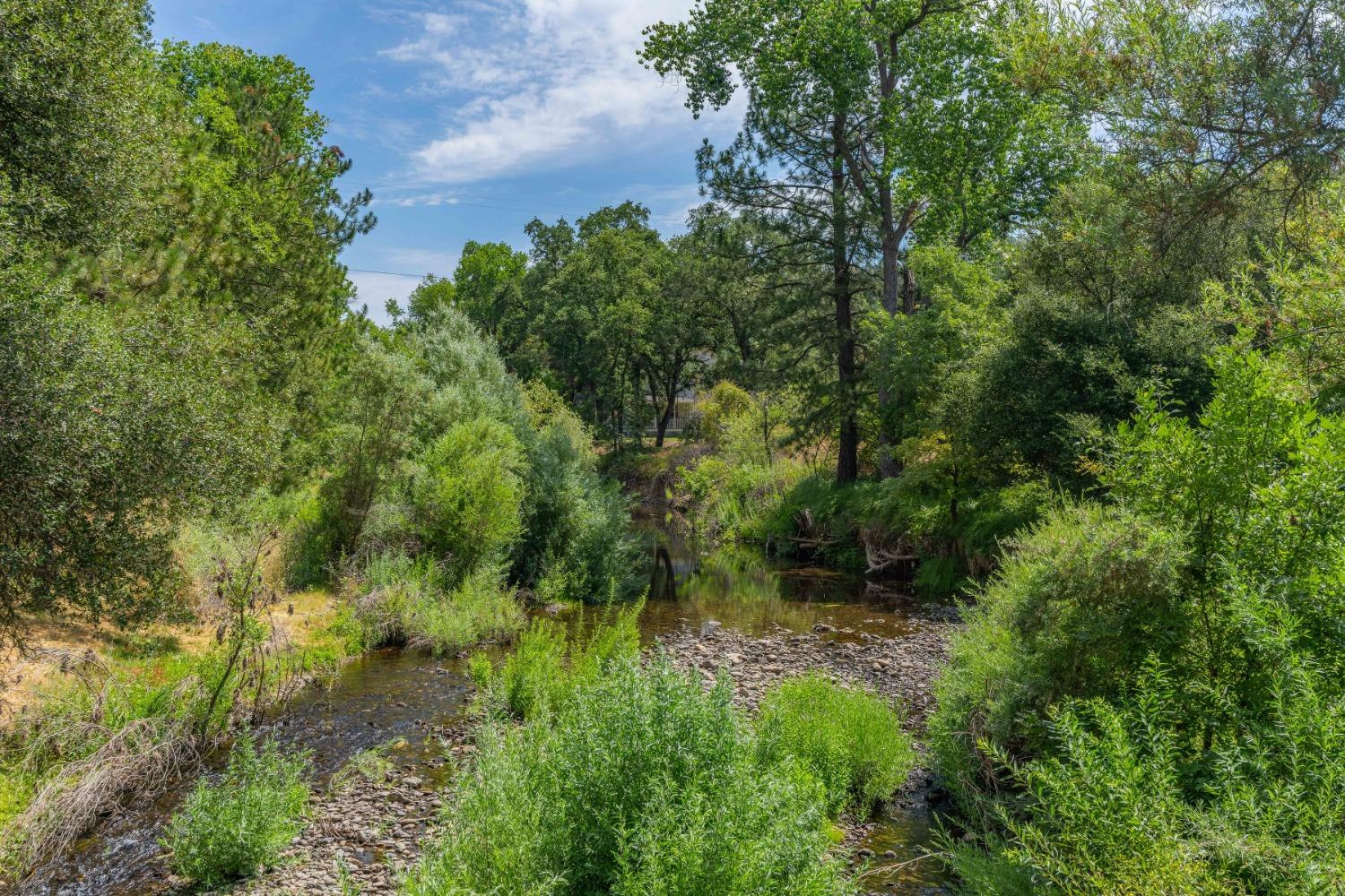 0 Sutter Creek Road Sutter Creek, CA 95685 - Photo 5 of 23 a view of a garden