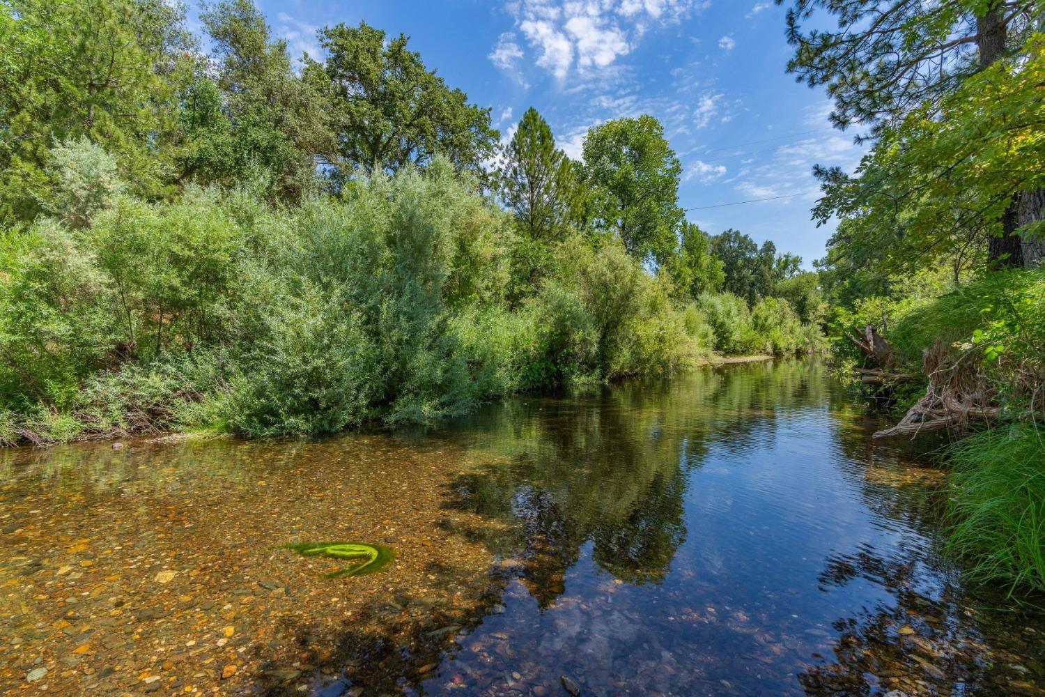0 Sutter Creek Road Sutter Creek, CA 95685 - Photo 6 of 23 a view of a lake with a yard