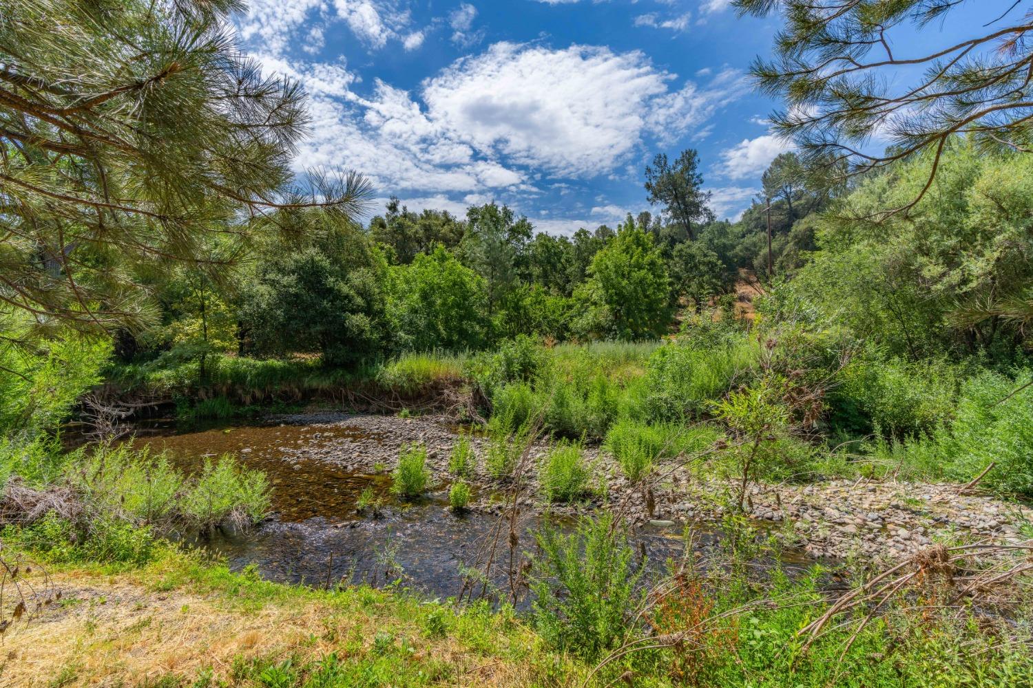 0 Sutter Creek Road Sutter Creek, CA 95685 - Photo 8 of 23 a view of a lake with green space