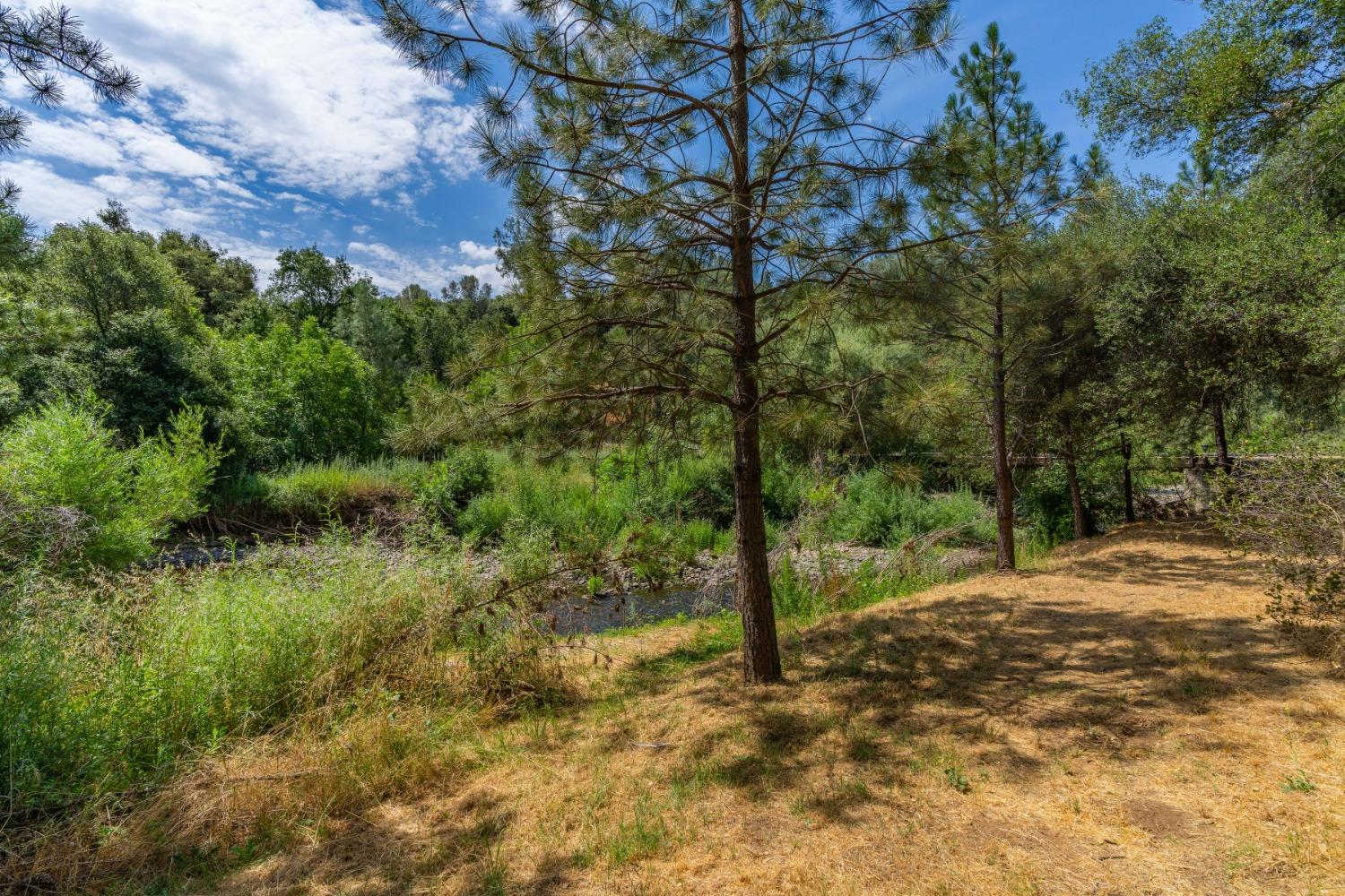 0 Sutter Creek Road Sutter Creek, CA 95685 - Photo 10 of 23 a view of a yard