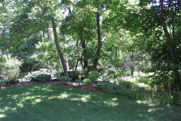 10 Rowley Hill Road Sterling, MA 01564 - Photo 21 of 29 a view of tree
