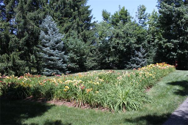 10 Rowley Hill Road Sterling, MA 01564 - Photo 22 of 29 a view of a garden with plants