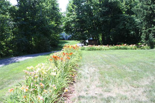 10 Rowley Hill Road Sterling, MA 01564 - Photo 28 of 29 a view of yard with green space