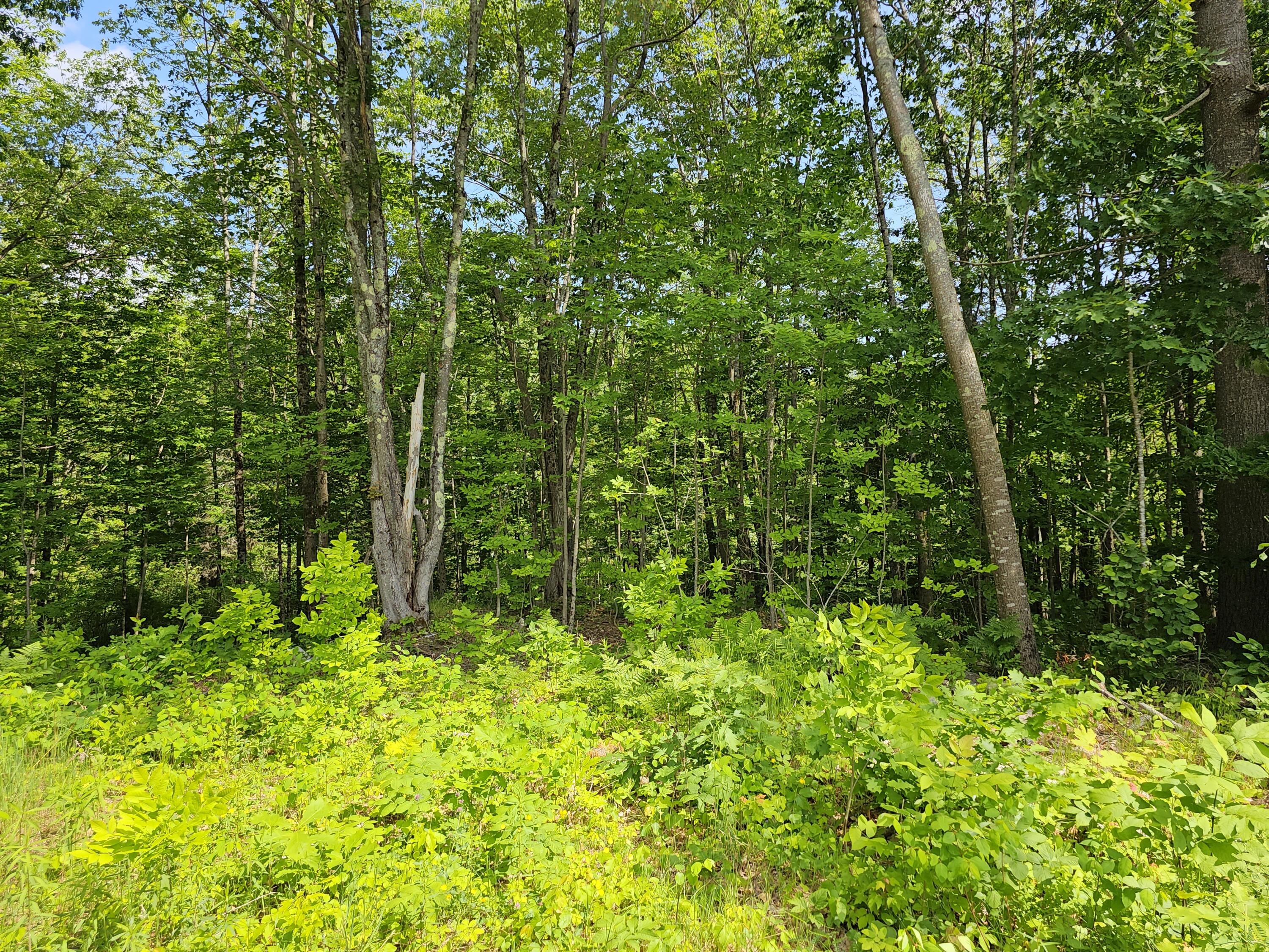 187 Marston Road Richmond, ME 04357 - Photo 2 of 3 20230621_151315