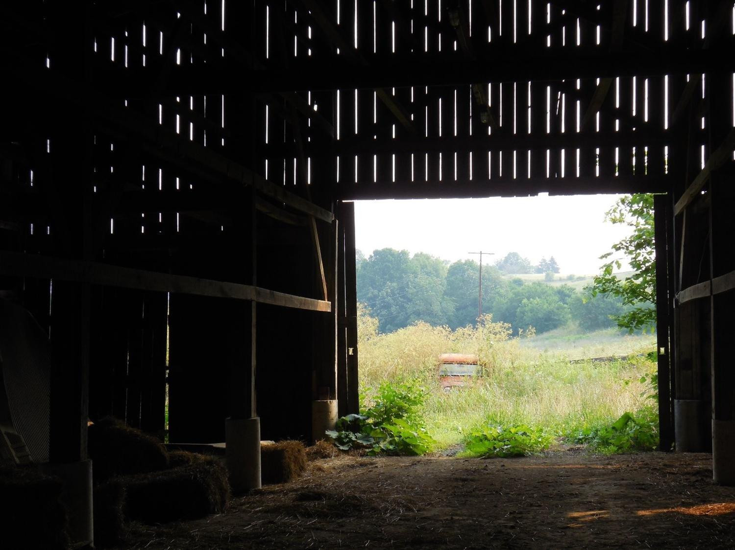 2056 Red House Road Richmond, KY 40475 - Photo 16 of 67 If this picture doesn't scream country f