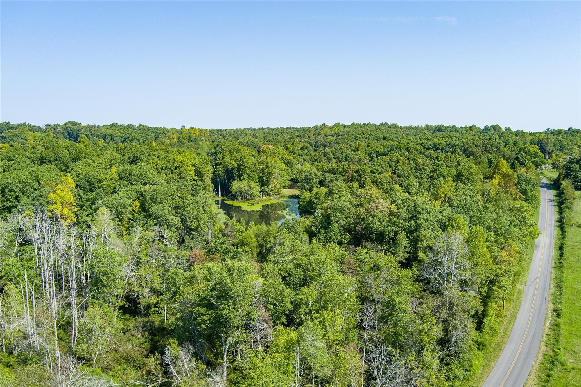 0 Bell Road Crossville, TN 38571 - Photo 2 of 10