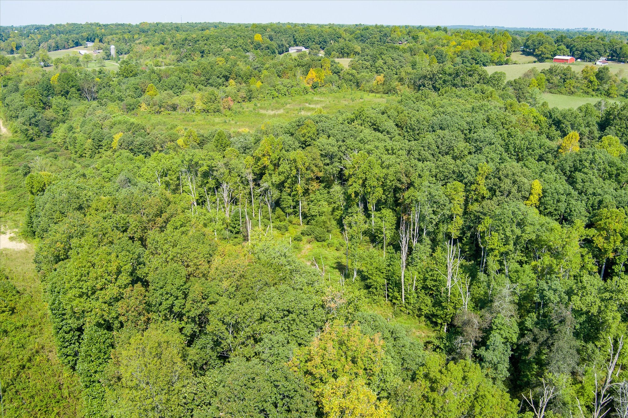 0 Bell Road Crossville, TN 38571 - Photo 6 of 10