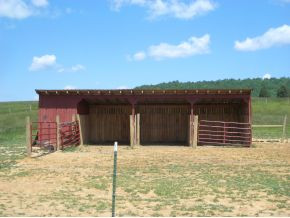 220 Sugar Bowl Road Chuckey, TN 37641 - Photo 3 of 12 3 Stall Horse Shed Feed Room