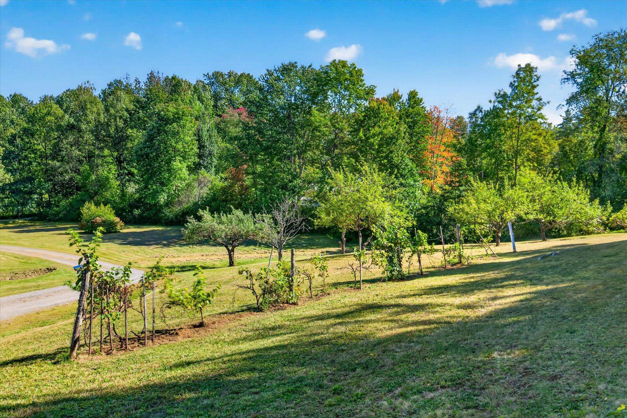 661 Wright Orchard Road Grafton, VT 05146 - Photo 49 of 51 Gallery Image 49