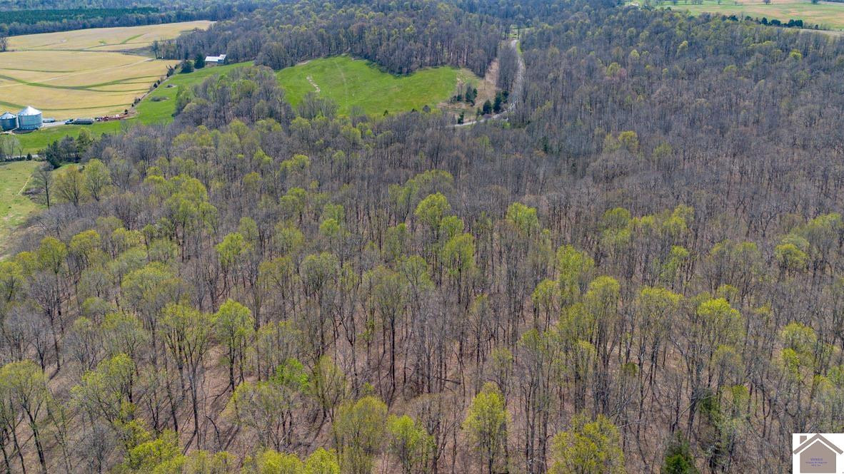 998 Hampton Road Salem, KY 42078 - Photo 3 of 3 Photo 3
