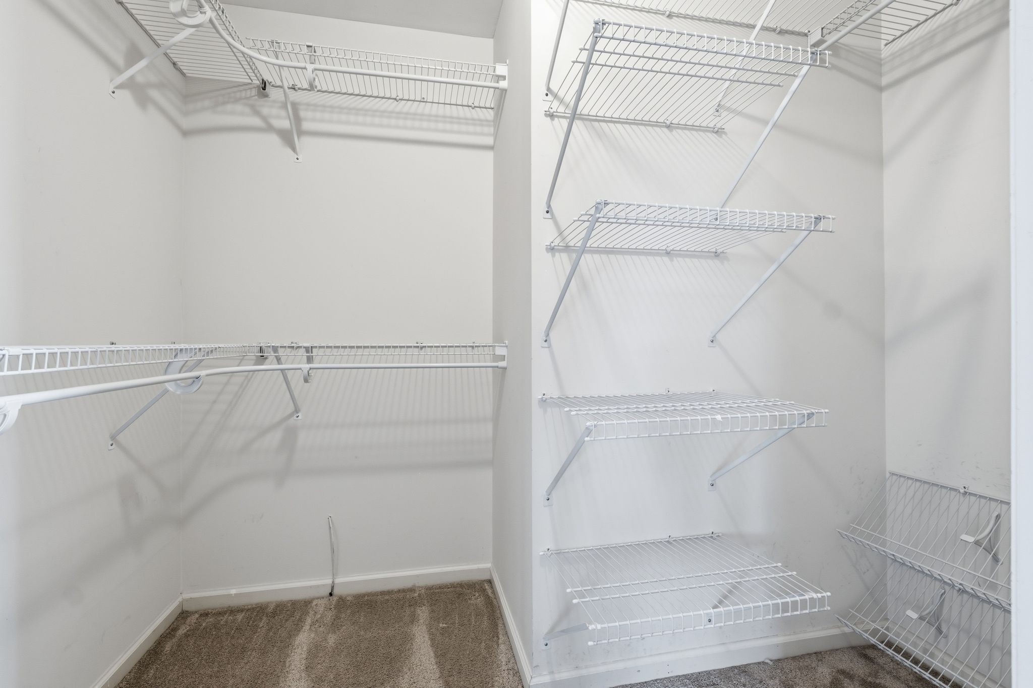 1049 Fitzpatrick Road Nashville, TN 37214 - Photo 17 of 38 a view of walk in closet with empty racks