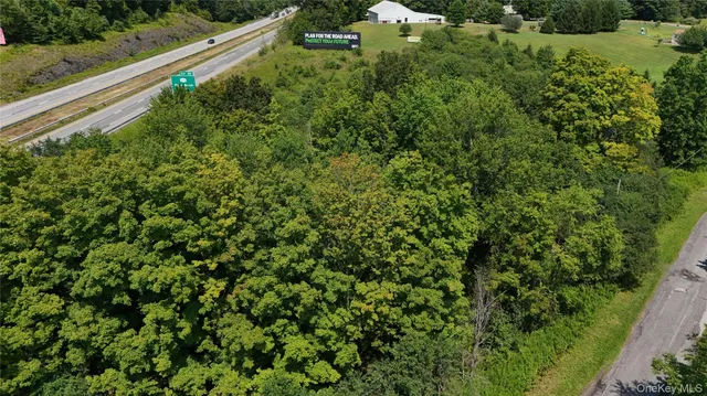 a view of a yard with plants