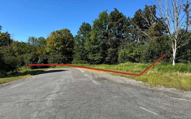 a view of a park with large trees
