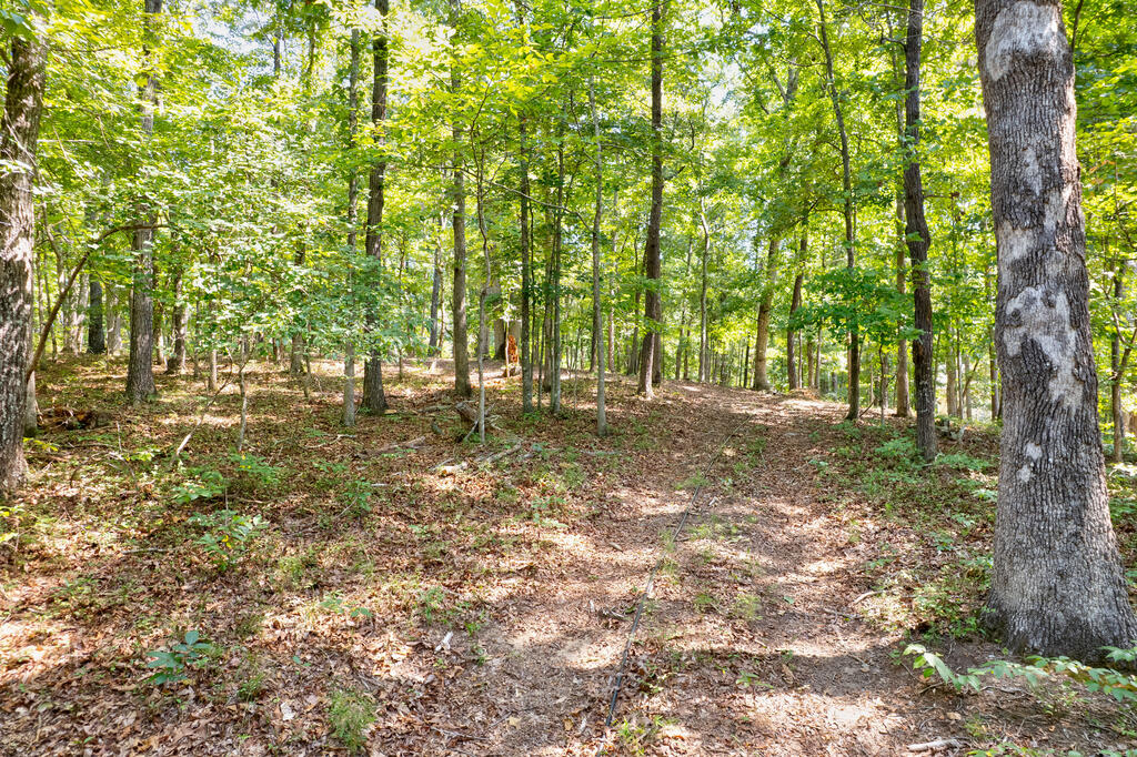 3828 James Ed Road Gainesville, GA 30506 - Photo 11 of 16 Gallery Image 11