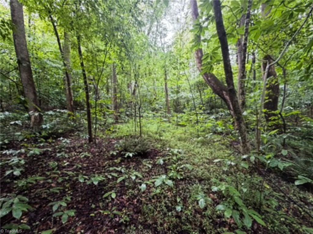7767 Pearman Quarry Road Kernersville, NC 27284 - Photo 10 of 27