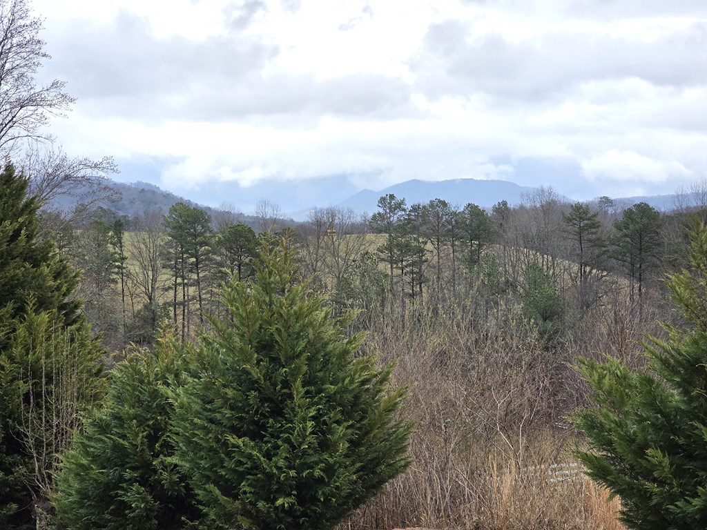 971 Lance Road Murphy, NC 28906 - Photo 21 of 21 Mountain View