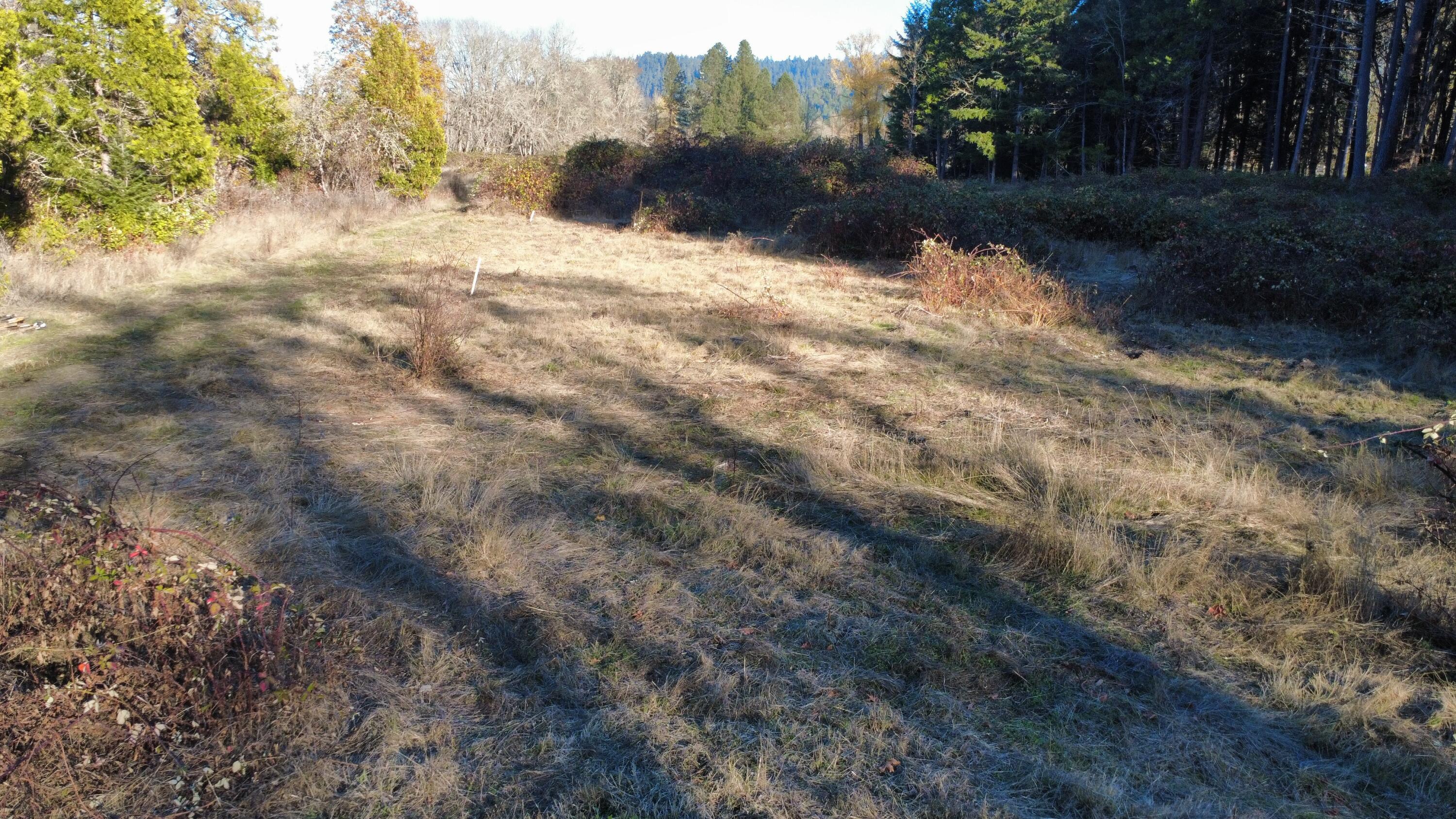 188 Pisqually Lane Azalea, OR 97410 - Photo 15 of 19 dji_fly_20251115_145424_62_1763247271041