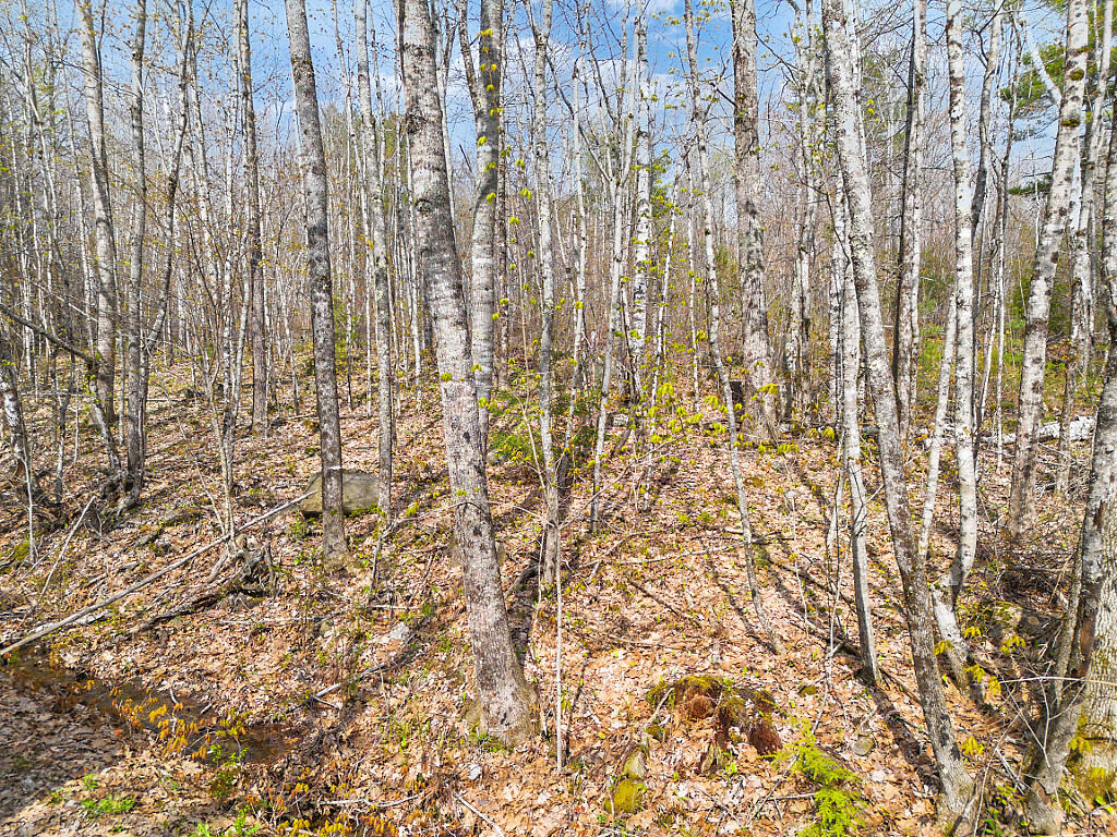 501 Noyes Road Waldoboro, ME 04572 - Photo 10 of 27