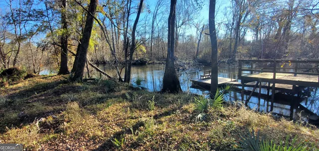 $325,000 | 147 Brannen Landing Road, Midville, GA 30441