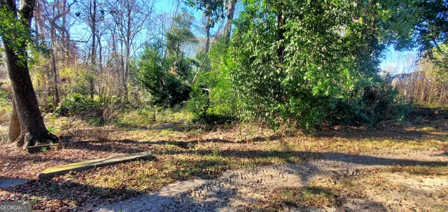 $325,000 | 147 Brannen Landing Road, Midville, GA 30441