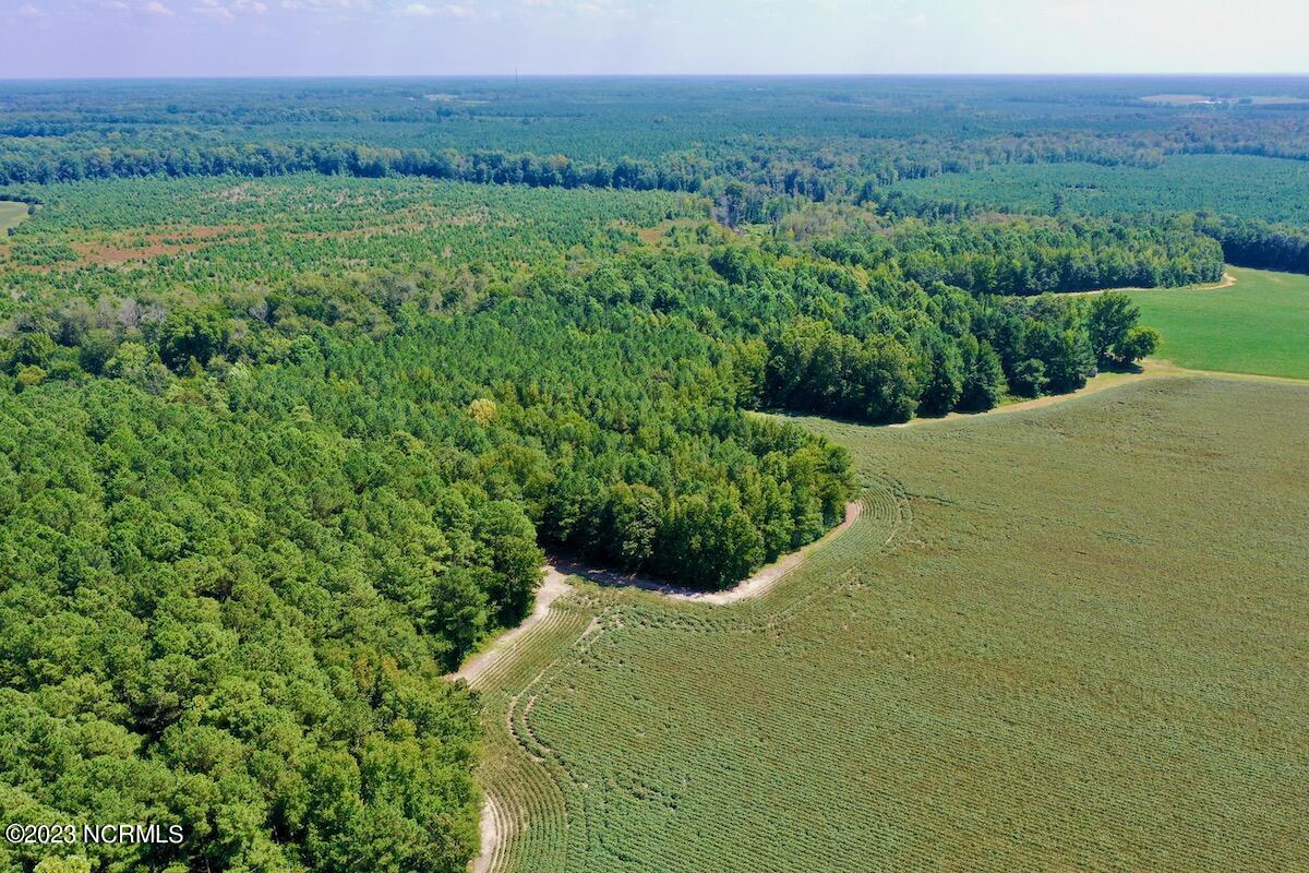 0 Hargraves Road Jackson, NC 27845 - Photo 28 of 50 27